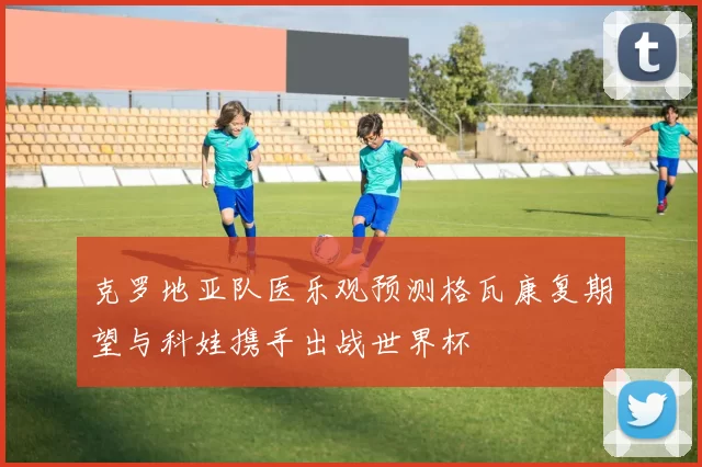 克罗地亚队医乐观预测格瓦康复期望与科娃携手出战世界杯