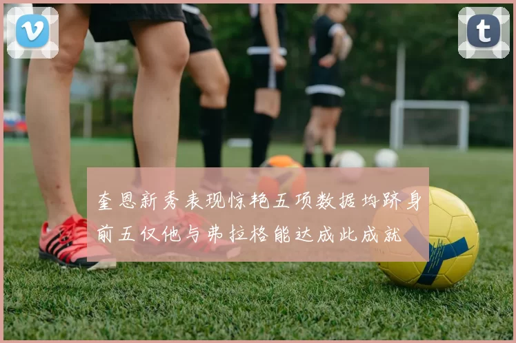 奎恩新秀表现惊艳五项数据均跻身前五仅他与弗拉格能达成此成就